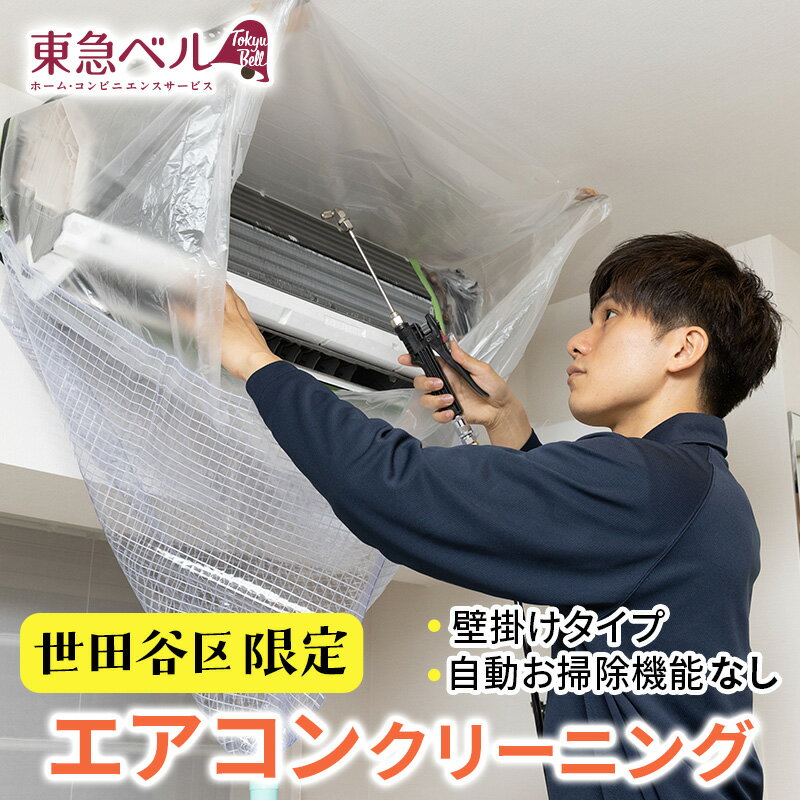 【ふるさと納税】【世田谷区内サービス限定】エアコンクリーニング（壁掛けタイプ、自動お掃除機能なし） 清掃 掃除 洗浄 ハウスクリーニング 家事代行