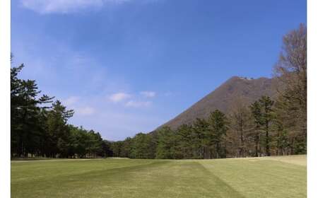 ゴルフ場利用券 赤城国際カントリークラブ 3,000円分 首都圏 関東 群馬 前橋