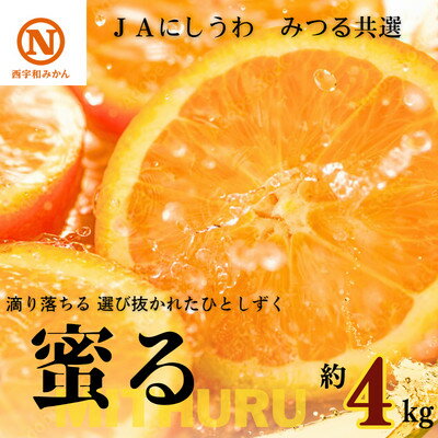 【ふるさと納税】JAにしうわの季節の柑橘(みつる共選「蜜る」約4kg)【D08-48】【1443355】