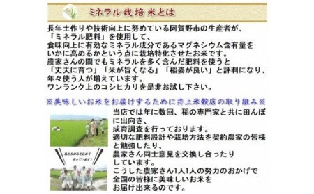 【令和6年産新米予約】12ヶ月定期便 ミネラル栽培こしひかり 5kg×12回 計60kg 白米 精米 井上米穀店 10月上旬より順次発送予定 1I04120