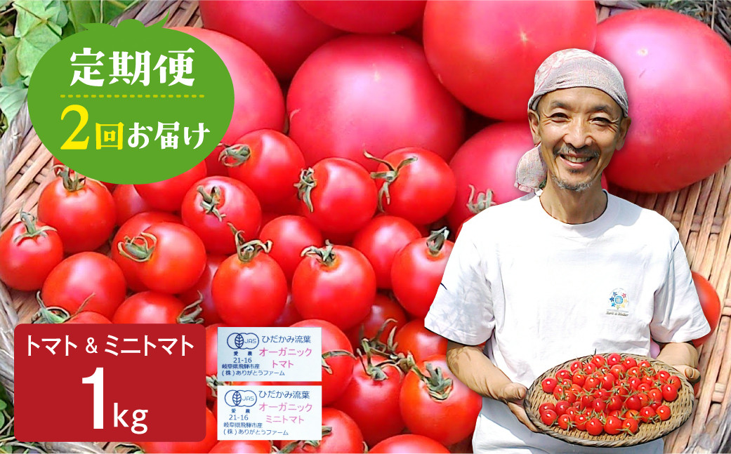 
            【令和8年産】【2回定期便】コクと旨味のあるトマト・ミニトマト 1kg 2回 定期便 野菜 有機栽培 受賞農家 無農薬栽培 国産 常温 おかず 惣菜 野菜 定期便 飛騨市 15000円 時間指定可
          
