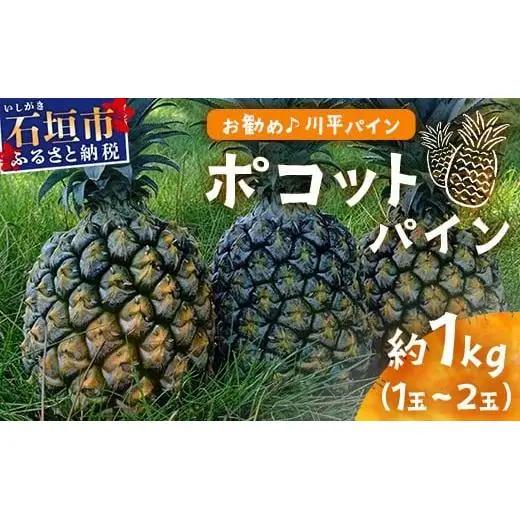 パイナップル 【先行予約】ポコットパイン1ｋｇ（1～2玉）　KN-3