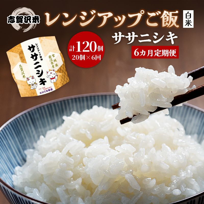 【ふるさと納税】【令和7年産】6ヵ月定期便ササニシキ志賀沢米レンジアップごはん12個セット お米 米 精米 パックごはん 岩沼市 志賀産