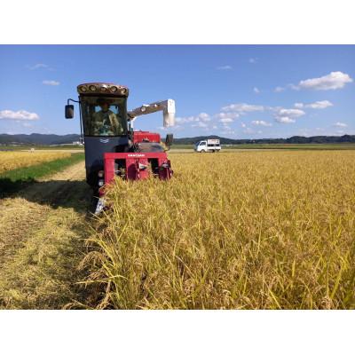 ふるさと納税 一関市 有機JAS転換期間中「ササニシキ」5kg |  | 02