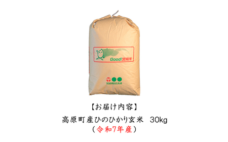 【令和7年産 新米】宮崎県高原町産 ひのひかり玄米 30kg TF00851-P00079