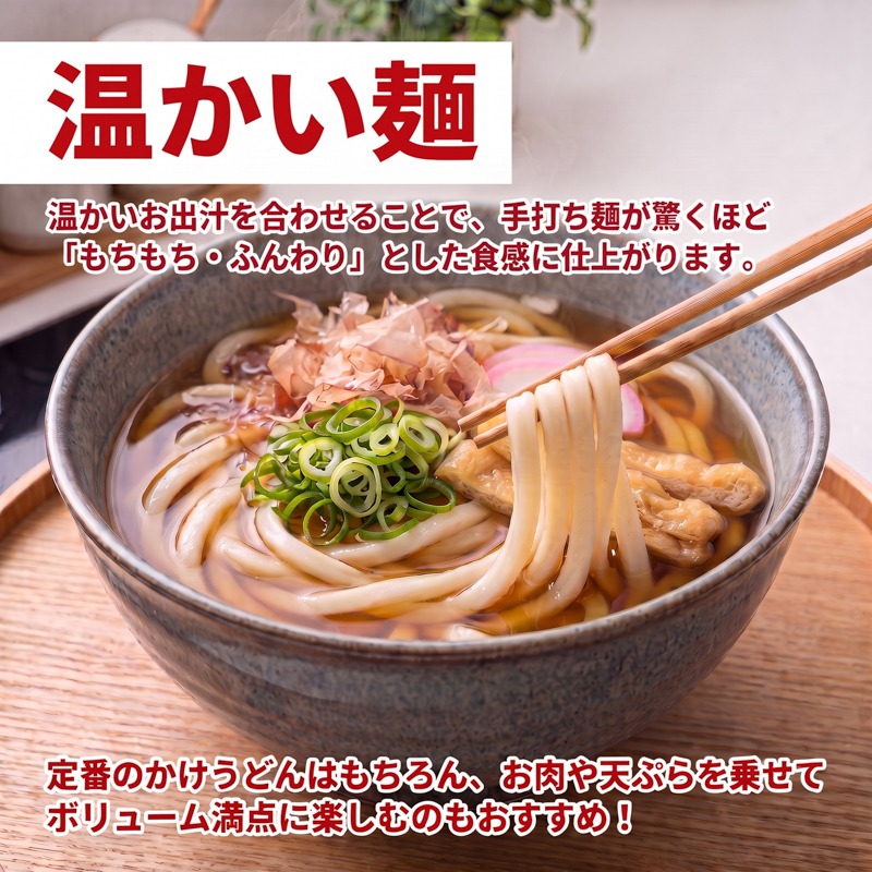 手打ちうどん 6食(2食×3袋) うどん 麺 麺類 めん 冷凍 手打ち麺 職人 スープ 小分け ウドン 簡単 簡単調理 生麺 なま麺 小麦 小麦粉 製麺 もちもち つるつる 三陸 岩手県 大船渡市
