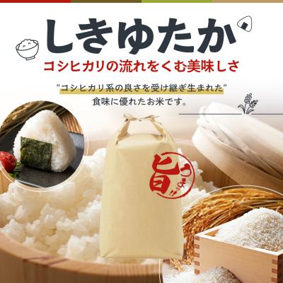 ふるさと納税 加西市 米 令和8年産 先行受付 しきゆたか 白米 10kg 3か月連続お届け[No5698-2798] |  | 01