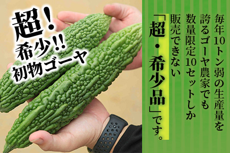 【予約受付】「最優秀賞」受賞の農家！希少品！贈答用「初物ゴーヤ」2024年12月下旬～2025年1月上旬発送 OI-1
