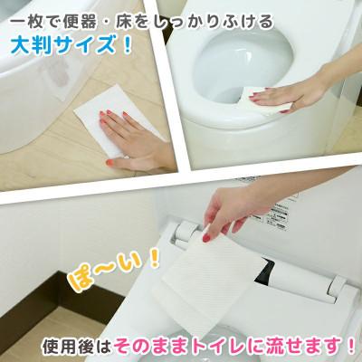 ふるさと納税 三豊市 GN超厚流せるトイレクリーナー大判(12枚×2P)×20袋 |  | 02