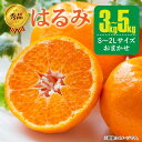 【ふるさと納税】【先行予約】 秀品 はるみ 和歌山 有田 S～2Lサイズ 大きさお任せ 選べる 容量 3kg～5kg ※1月下旬～3月下旬に順次発送予定 / はるみ 柑橘 //dekopon