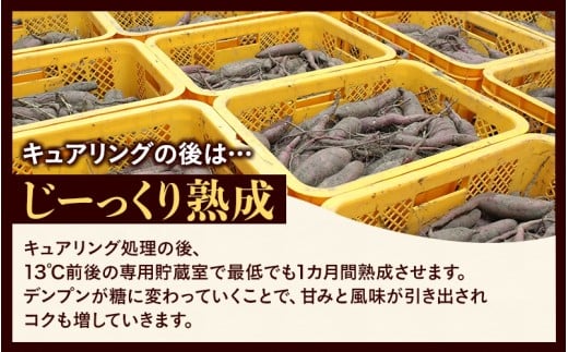 【訳あり】さつまいも 紅はるか 5kg / さつまいも 紅はるか 岡山県 野菜 【ybrf002-01】