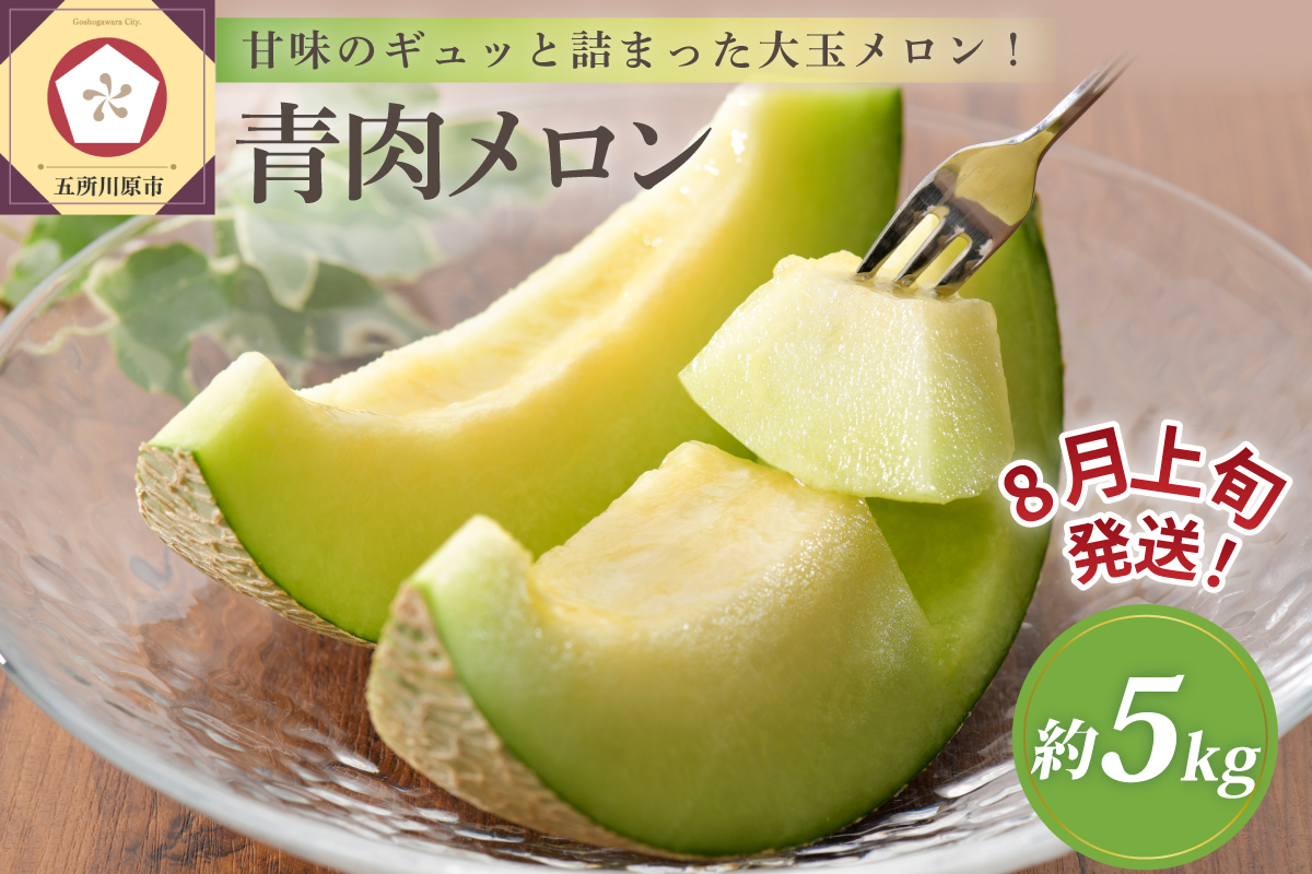 【2026年8月上旬発送】メロン 青肉 約5kg (3～6玉) 家庭用 津軽産