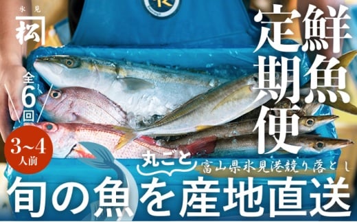 
【氷見漁港直送】〈偶数月6回定期便〉旬の鮮魚 まるごと詰め合わせセット！（3〜5種類／1.5〜2kg） 漁港で競り落とした旬の鮮魚 詰め合わせ 富山湾
