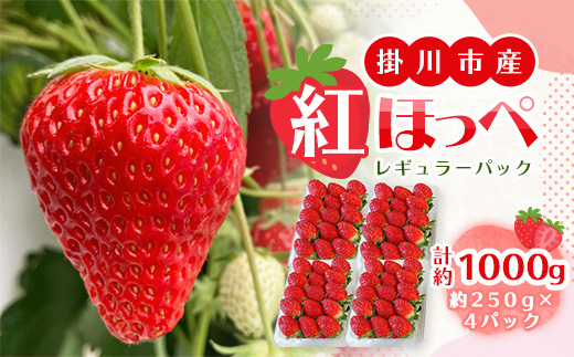 総重量約1000g　掛川市産・紅ほっぺ レギュラーパック 4パック入【配送不可地域：離島・北海道・沖縄県・四国・九州】
