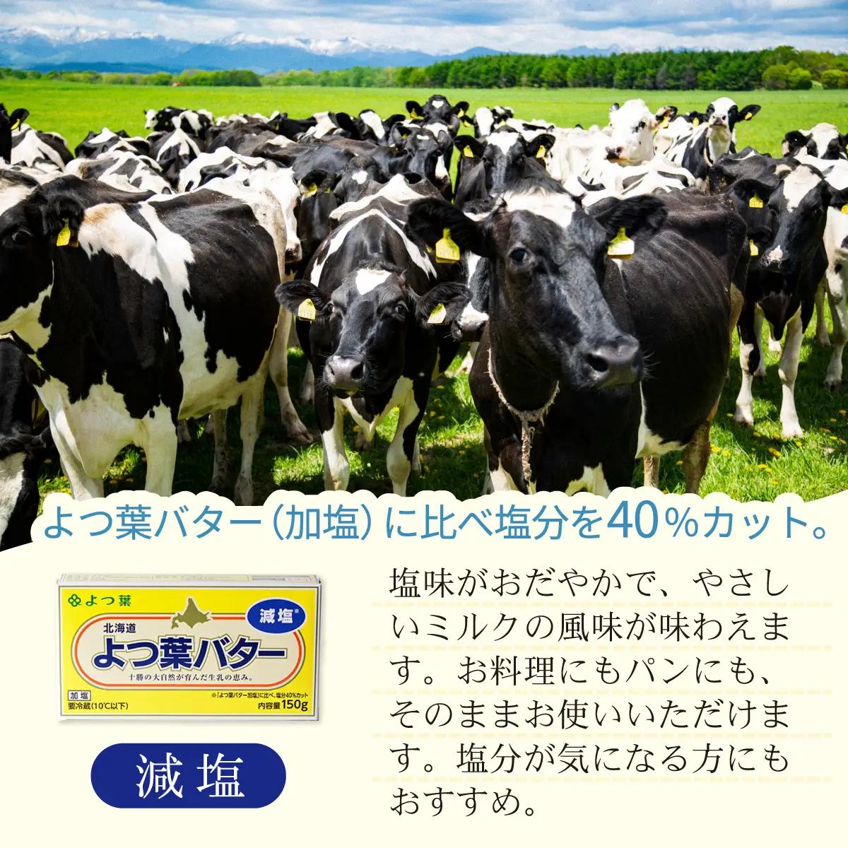 【3カ月毎3回】よつ葉バター（減塩） 10個入り SKA042-1-3