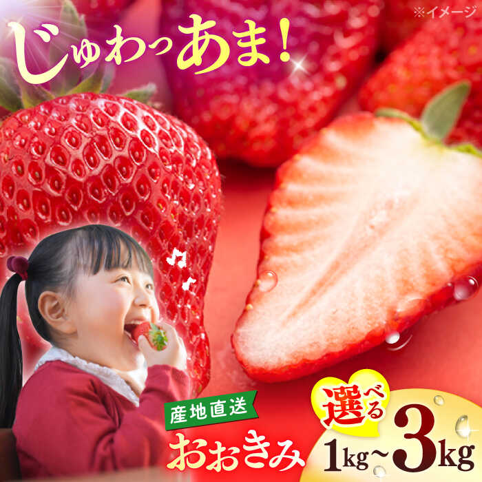 【ふるさと納税】【1月より順次発送】西海市産 いちご 「おおきみ」 計1～3kg＜武藤農園＞[CFV004] 長崎県 西海市 イチゴ いちご 贈答 ギフト いちご 大粒 果物 フルーツ おおきみ 果実 甘い イチゴ ストロベリー あまい デザート 新鮮 産地直送 くだもの 苺