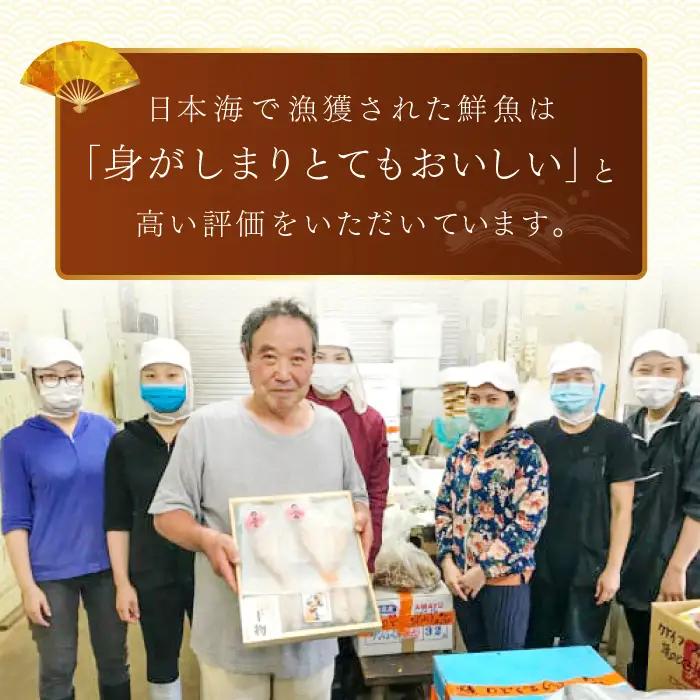 ノドグロ一夜干４尾セット【のどぐろ一夜干し のどぐろ 干物 4尾 1尾あたり120～140g 島根県産 大田市産 魚介類 魚 ノドグロ のど黒 高級魚 干物 真空パック 冷凍】