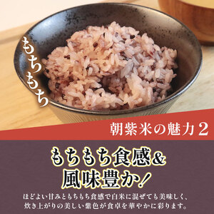 朝紫米 1kg 古代米 雑穀 紫米 もち米 黒もち米 特別栽培米 減農薬 紫米 雑穀米 新発田産 新潟 米 お米 させ農園 新潟県 新発田市 sase009