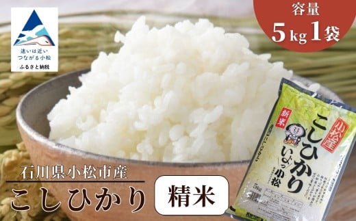 【先行予約】 令和8年産 小松市産 こしひかり 精米 5kg 米 小松市産コシヒカリ | 石川県 小松市 【JA小松市】