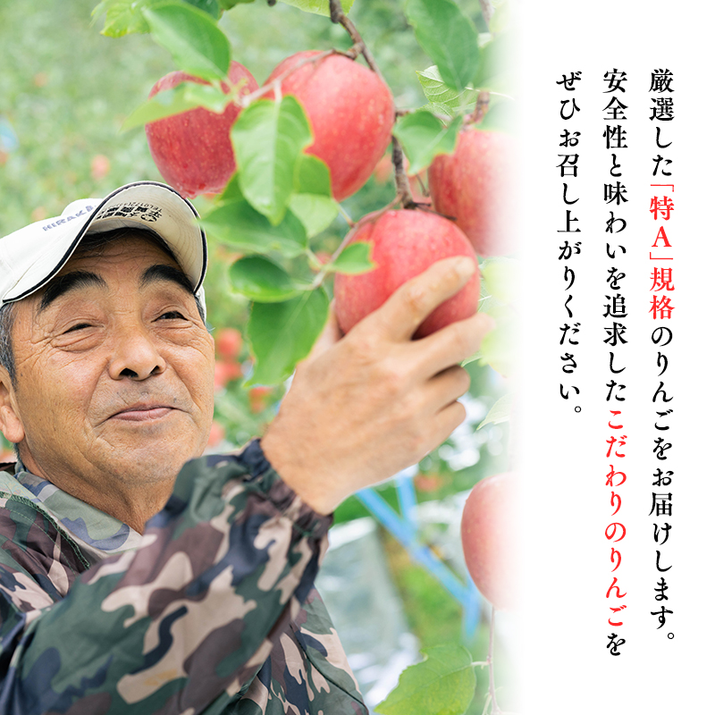 年明け 贈答規格 広船の大玉金星約3kg「特A」【広船アップルクラブ・平川市広船産・青森りんご・1月・2月】1月30日申込締め切り