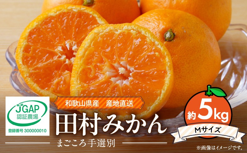 
                  【2026年先行予約】和歌山 湯浅町産 田村みかん 約5kg【Mサイズ】 ※着日指定不可_ZE6342n
                
