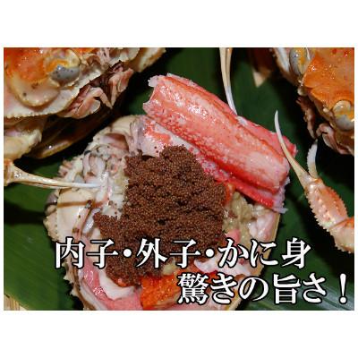 ふるさと納税 京丹後市 美味!驚きの旨さ!茹でセコガニ(訳あり) 中サイズ5匹入(茹で上がり後1匹175g以上) |  | 01