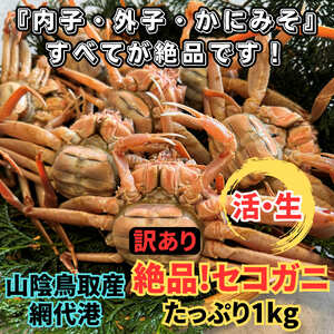 【22032】鳥取網代港【訳あり】活！絶品セコガニ1kgセット※お届けは2026年11月中旬～【さかなや新鮮組】