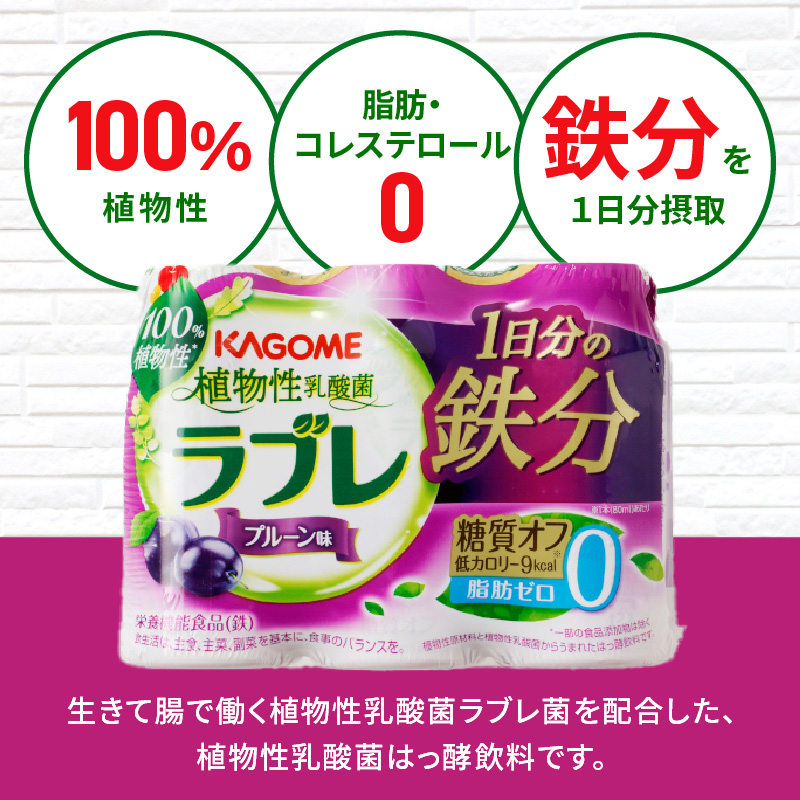 【3ヶ月定期便】植物性乳酸菌ラブレ　1日分の鉄分36本（計108本）[052S10-T]_イメージ3