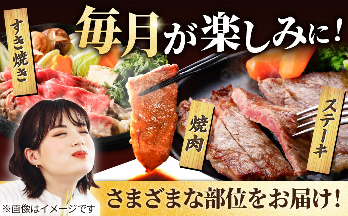 【牧場直送】【6回定期便】佐賀県産しろいし牛 1頭まるごと定期便【有限会社佐賀セントラル牧場】 [IAH032]