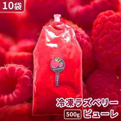 ふるさと納税 帯広市 【北海道十勝産 贅沢ピューレ】冷凍ラズベリーピューレ 5kg(500g×10袋)