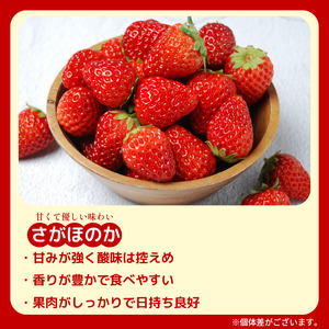 いちご さがほのか 4パック ( 280g × 4 ) 苺 いちご いちご イチゴ