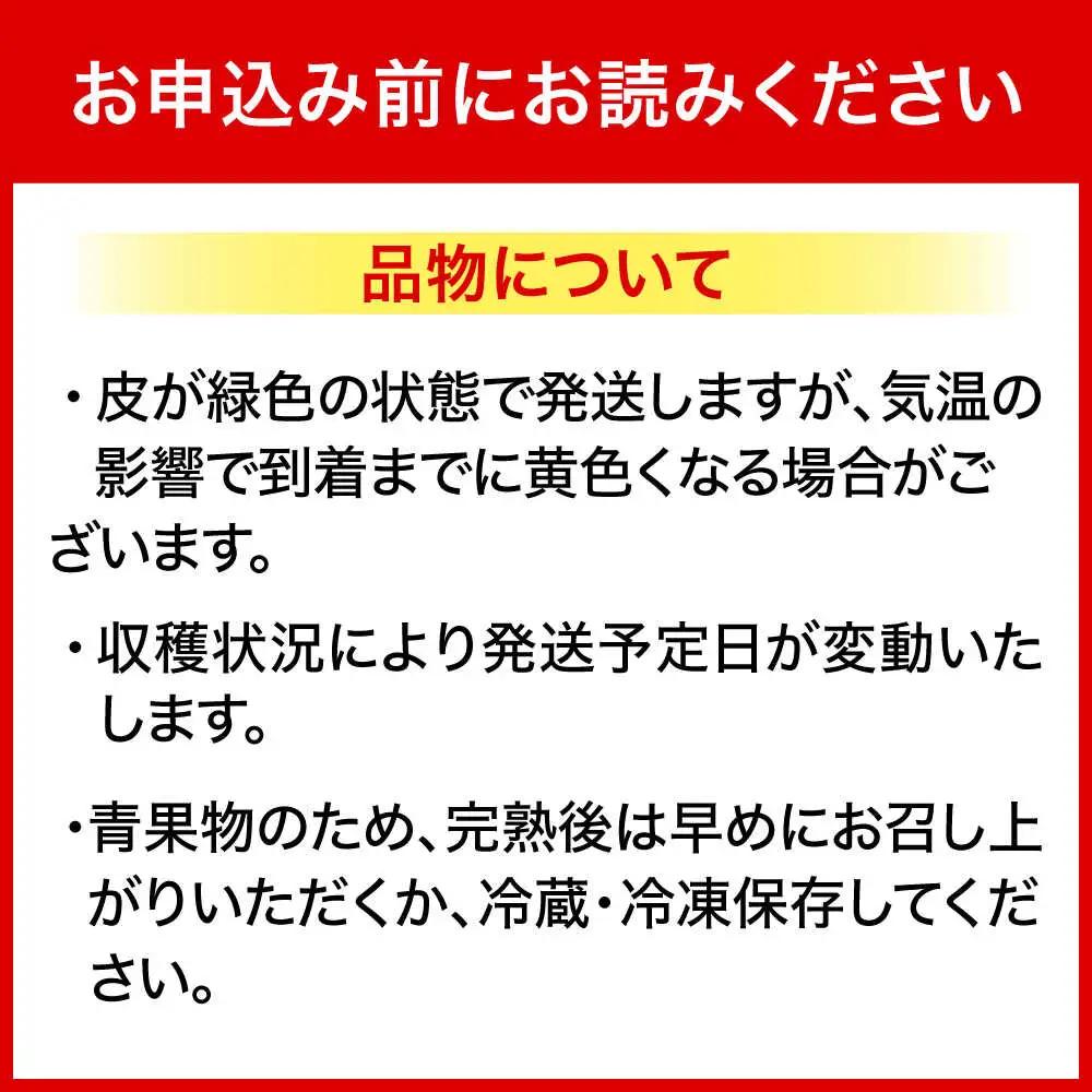 【2026年発送】沖縄県産 アップルバナナ 2kg  BCBH001