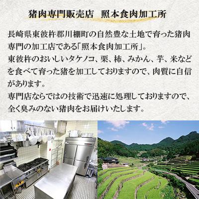 ふるさと納税 川棚町 【ジビエ 天然イノシシ肉】おまかせ焼肉セット 600g (ロース・モモ・バラ) |  | 01