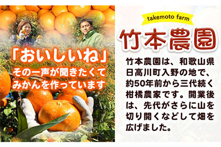 国産ライム 約1.5kg ライム