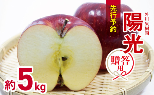 【2026年先行予約】贈答用 陽光 約5kg ｜外川果樹園 リンゴ りんご 林檎 果物 フルーツ 果実 果汁 陽光 ようこう ギフト 贈答用 長野県 松川村 信州
