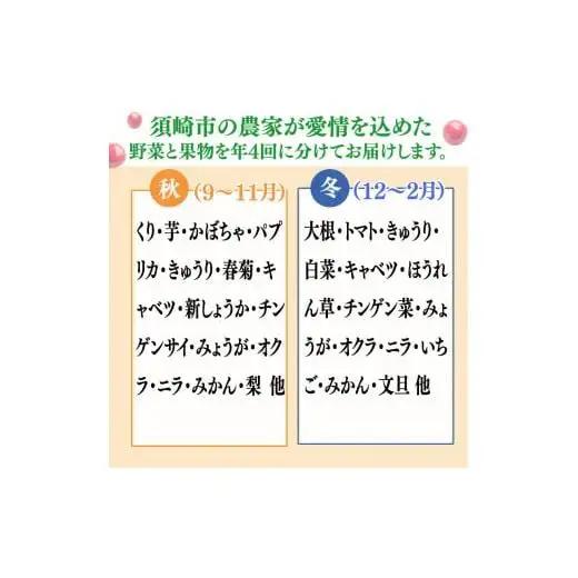 【 果物定期便 】 野菜・果物定期便 4回 10 ～13 種類 セット