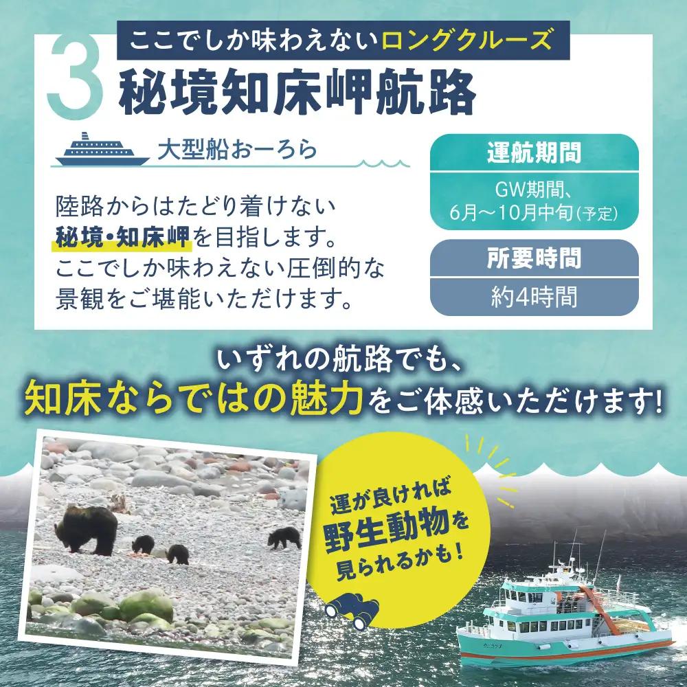 知床観光船おーろら 利用優待券(3,000円分)｜世界自然遺産 クルーズ 観光船 北海道 斜里町