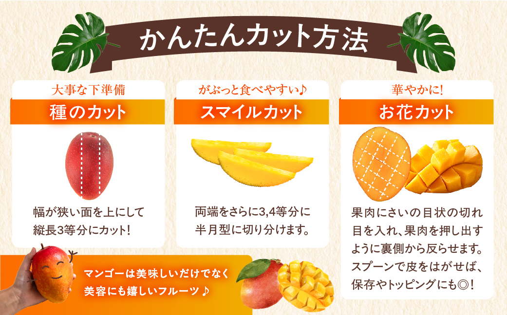 完熟マンゴー2L×2玉（パック）【JA綾町】_A0114-1021