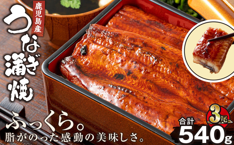 
2446 鹿児島産うなぎ180g×3尾 合計540g
