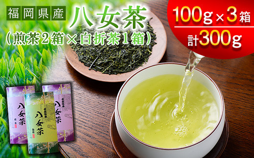 
【スカイパレード】福岡県産 八女茶 煎茶 100g×3 SP003-1
