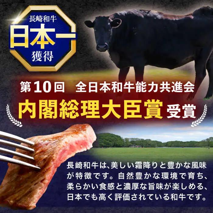 長崎和牛サーロインステーキ500g(250g×2枚)[OCE045]サーロイン ステーキ