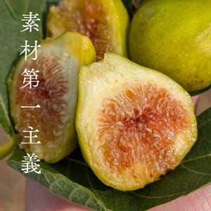 いちじく 合計 200g  ドライいちじく ご褒美 贅沢 おいしい 甘味 静岡県 牧之原市 マルエス菜園