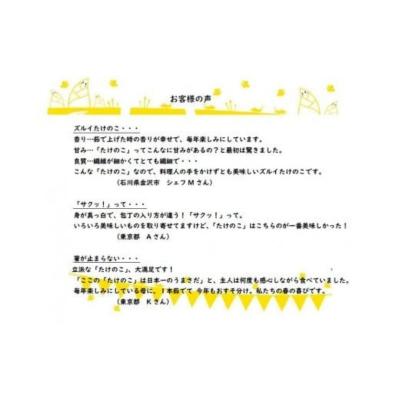 ふるさと納税 小松市 【今春先行予約】有機JAS認証  白子たけのこ 「色白美人」 3.5kg |  | 03