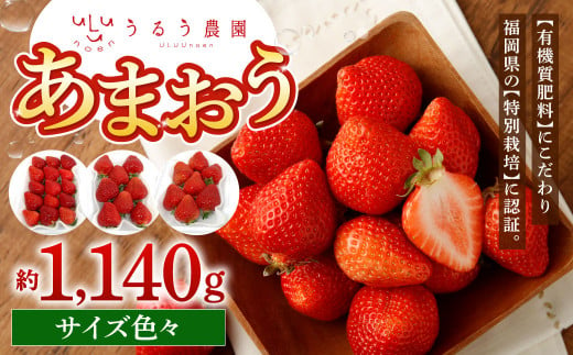 うるう農園 サイズ色々 あまおう 4パック（約1140g）【2025年1月下旬～2025年3月下旬順次発送予定】いちご イチゴ 苺 フルーツ 果物 福岡県産