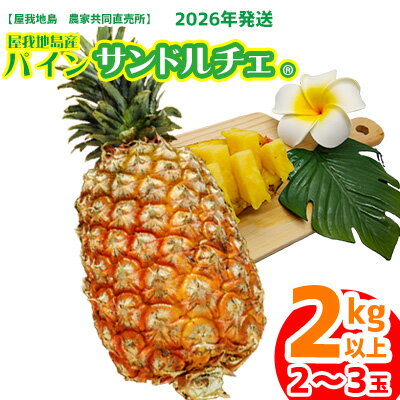 【ふるさと納税】2026年【屋我地島　農家協同直売所】　屋我地島のサンドルチェ2kg以上 沖縄 なご パイナップル 県産 お取り寄せ 厳選 こだわり 果物 くだもの あまい 酸味 お土産 食べ物 美味しい 南国 おきなわ オキナワ やんばる トロピカル パイン