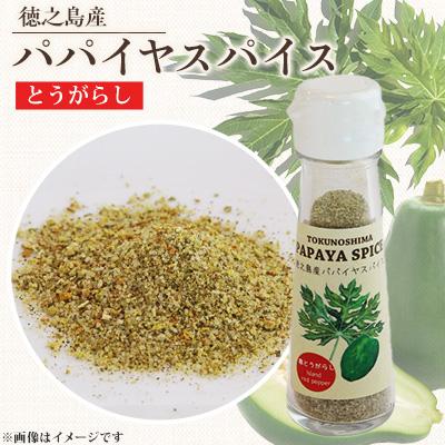 ふるさと納税 伊仙町 パパイヤスパイス　唐辛子入り1本