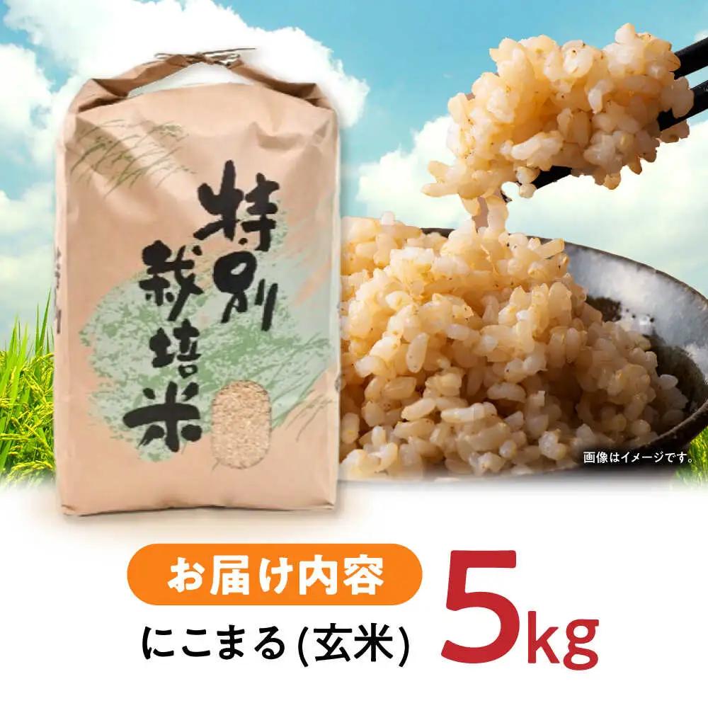 【R7年産】九州のこだわり「にこまる」玄米 5kg / 米 こめ お米 おこめ 玄米 げんまい にこまる ニコマル 長崎県産 / 諫早市 / 上島農産[AHAS013]