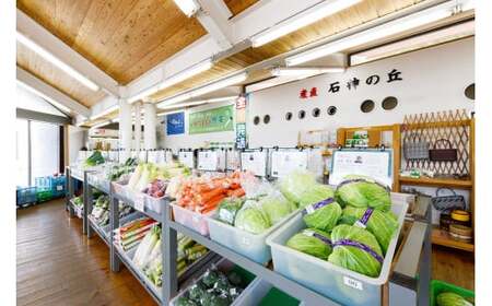 【訳アリ】岩手町産の旬野菜（にんじん）約5㎏ ニンジン 人参 大容量 ５kg  ワケアリ 訳あり 家庭用 規格外 不揃い 産地直送 送料無料 岩手県 岩手町