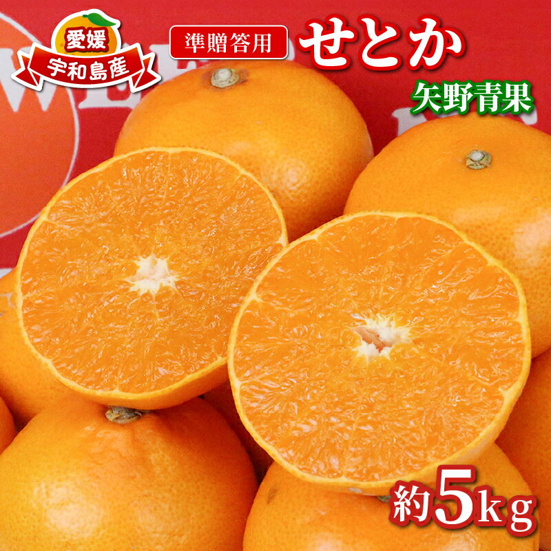 【ふるさと納税】 せとか 5kg 準 贈答用 矢野青果 柑橘の 大トロ 高級 希少 限定 品種 ブランド 高級柑橘 甘い 果物 くだもの フルーツ 柑橘 みかん 蜜柑 愛媛蜜柑 愛媛みかん mikan 贈答 ギフト プレゼント 産地直送 数量限定 国産 愛媛 愛媛県 宇和島 B012-171021