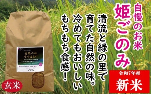 Gf-1　米　おいしいお米　姫ごのみ（玄米）20kg